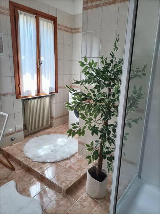 A Due Passi Dal Centro Villa Тревизо Екстериор снимка